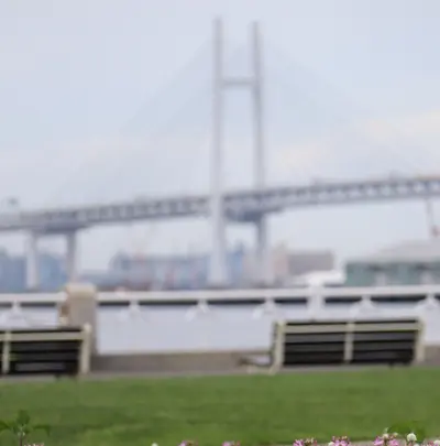 山下公園の写真・動画_image_433627