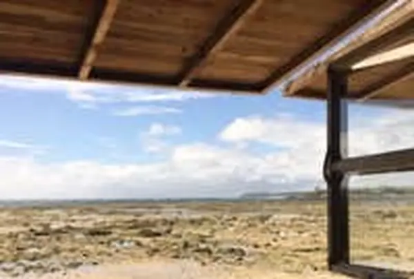 浜辺の茶屋の写真・動画_image_433725