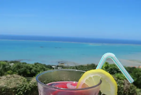 カフェくるくまの写真・動画_image_433751