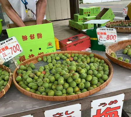 ＪＡ福井県　梅の里会館の写真・動画_image_433913