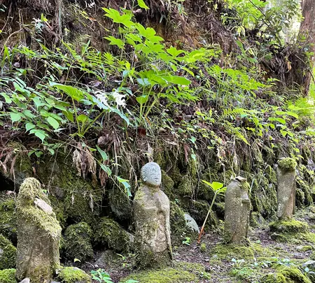 金昌寺の写真・動画_image_434009