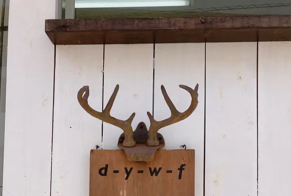 d-y-w-fの写真・動画_image_434165