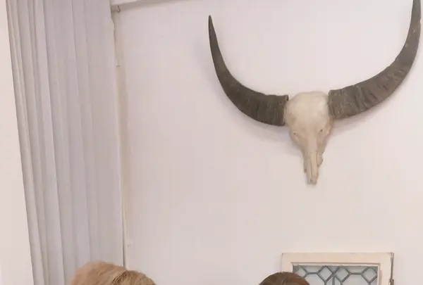 d-y-w-fの写真・動画_image_434166