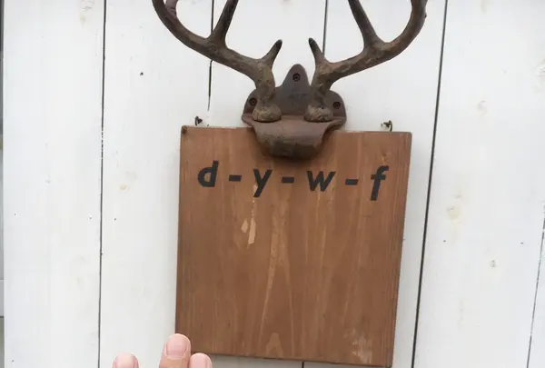 d-y-w-fの写真・動画_image_434167