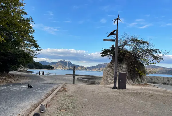 大久野島 第二桟橋の写真・動画_image_434318