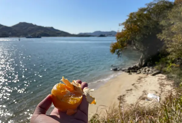 因島大橋の写真・動画_image_434344