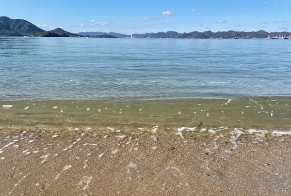 瀬戸田サンセットビーチの写真・動画_image_434371