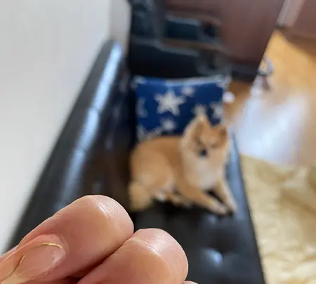 Nail Mix 沖縄北谷美浜店の写真・動画_image_434444