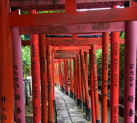 根津神社の写真・動画_image_434692