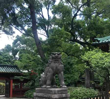 根津神社の写真・動画_image_434695