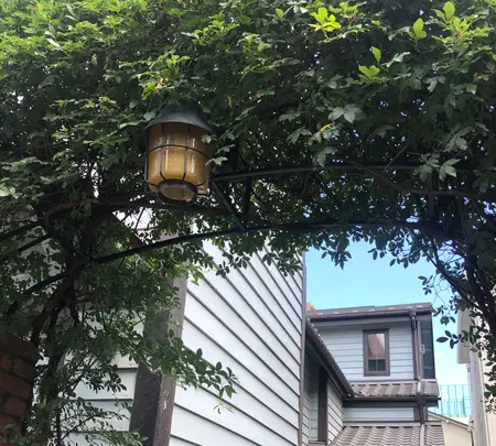 日本基督教団根津教会の写真・動画_image_434705