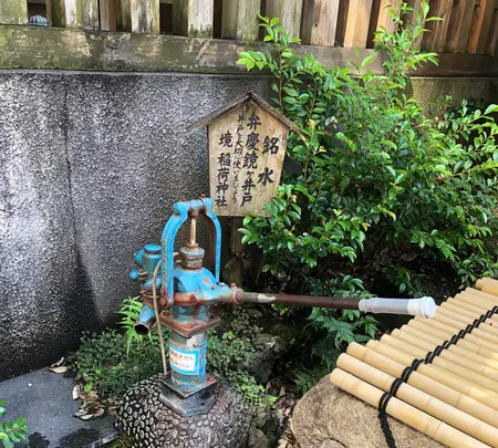 うさぎやCAFÉの写真・動画_image_434727