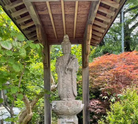 卜雲寺の写真・動画_image_434874