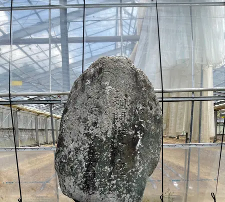 秩父札所五番語歌堂の写真・動画_image_434905