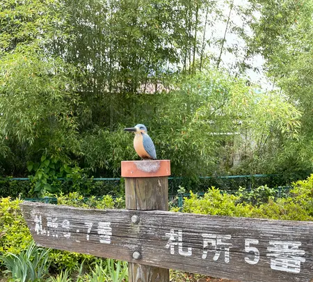 秩父札所五番語歌堂の写真・動画_image_434907