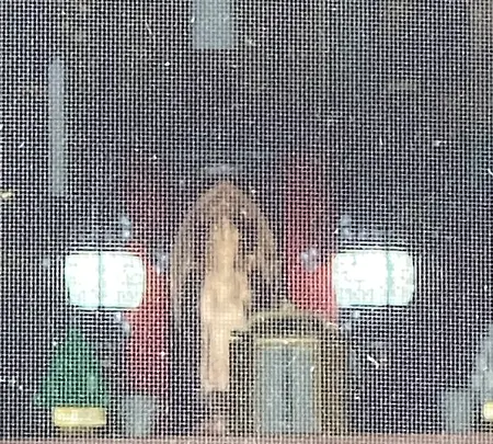 法長寺の写真・動画_image_434913