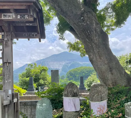 法長寺の写真・動画_image_434915