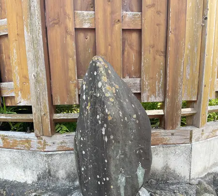 法長寺の写真・動画_image_434927