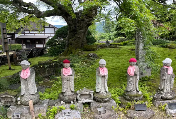 札所八番西善寺の写真・動画_image_434934