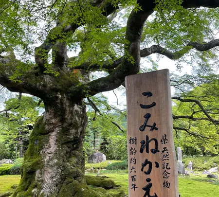 札所八番西善寺の写真・動画_image_434946