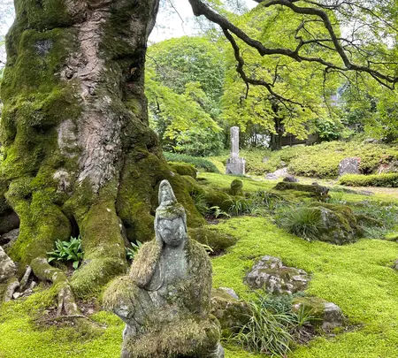 札所八番西善寺の写真・動画_image_434948
