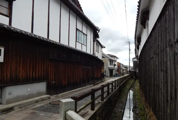 カワラヤの写真・動画_image_435039