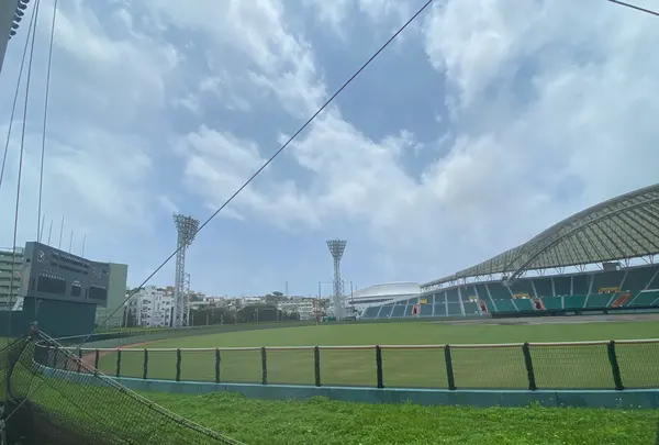沖縄セルラースタジアム那覇の写真・動画_image_435221