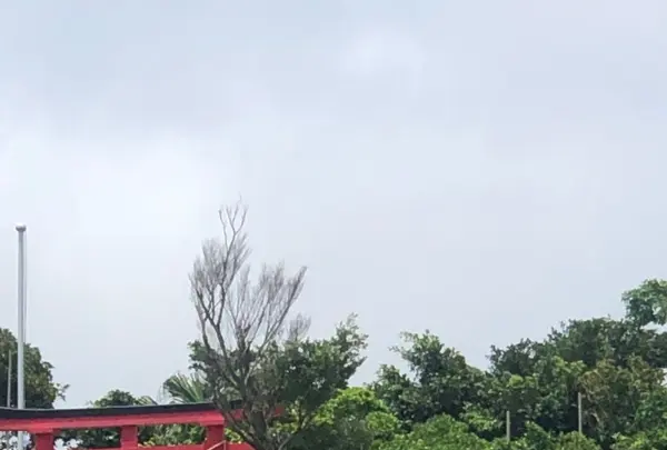 沖宮の写真・動画_image_435226