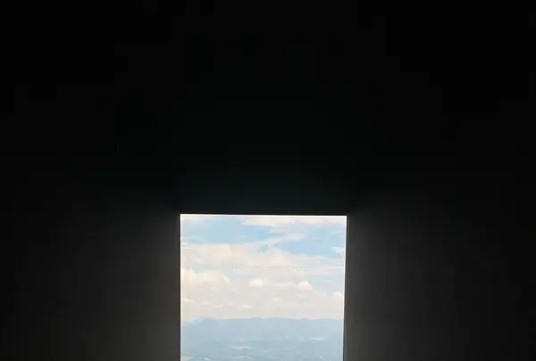 霧島アートの森の写真・動画_image_435550
