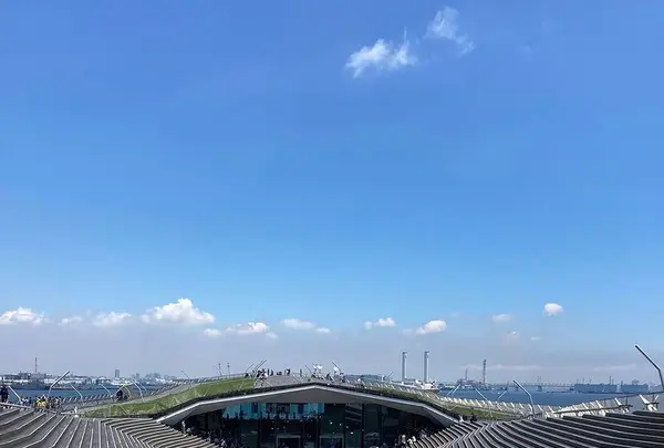 大桟橋ふ頭の写真・動画_image_435777