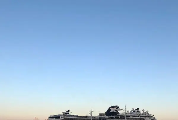 大桟橋ふ頭の写真・動画_image_435795