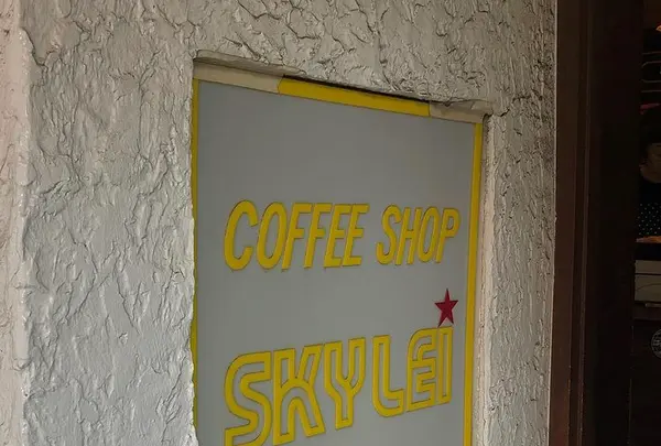 スカイレイの写真・動画_image_435800