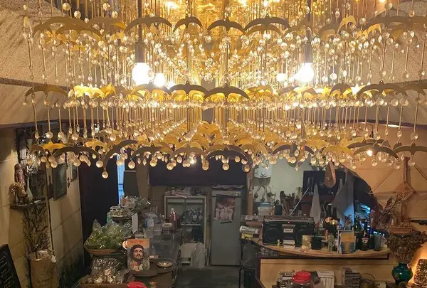 丸祇羅 （マルマサラ）の写真・動画_image_435805