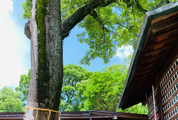 護王神社の写真・動画_image_436112