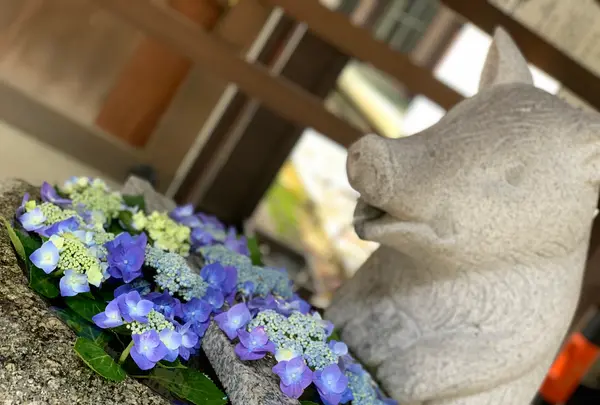 護王神社の写真・動画_image_436113