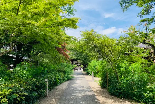 梨木神社の写真・動画_image_436126