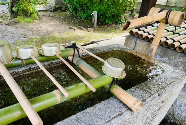 廬山寺の写真・動画_image_436137