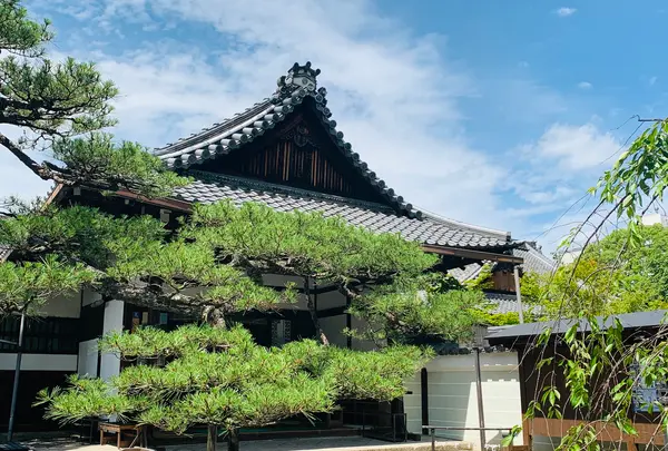 廬山寺の写真・動画_image_436140