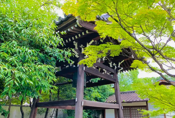 廬山寺の写真・動画_image_436141