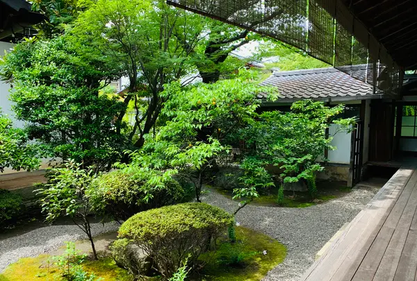 廬山寺の写真・動画_image_436144