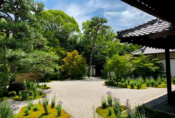 廬山寺の写真・動画_image_436148