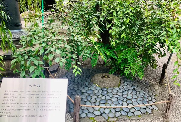 六角堂の写真・動画_image_436167