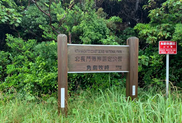 牧崎風の公園の写真・動画_image_436288