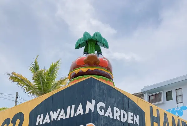 YAMBURGER.MIYAKO（ヤンバーガー宮古島）の写真・動画_image_436358