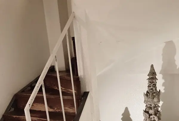 たねまきの写真・動画_image_436394