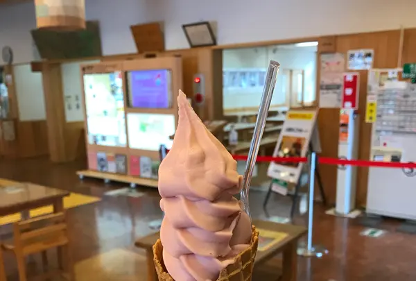 まちの駅 新 鹿沼宿の写真・動画_image_436480