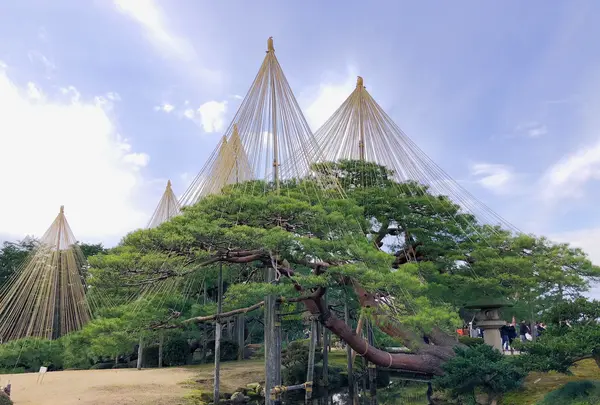 兼六園の写真・動画_image_436498