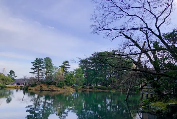 兼六園の写真・動画_image_436499