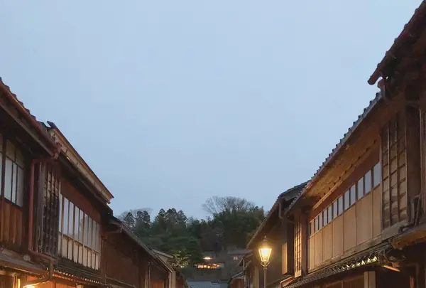 ひがし茶屋街の写真・動画_image_436509