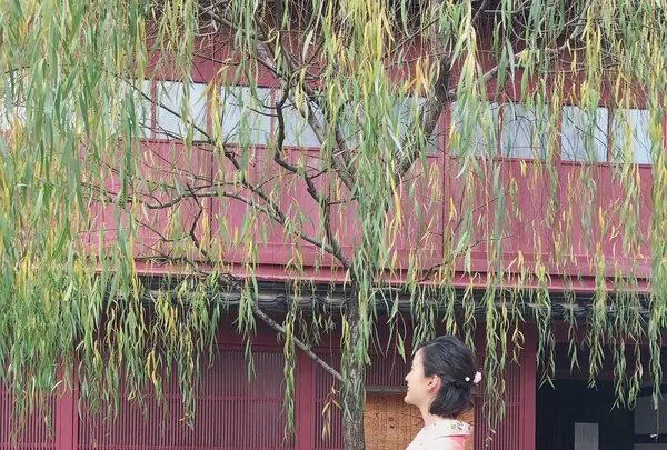 ひがし茶屋街の写真・動画_image_436511